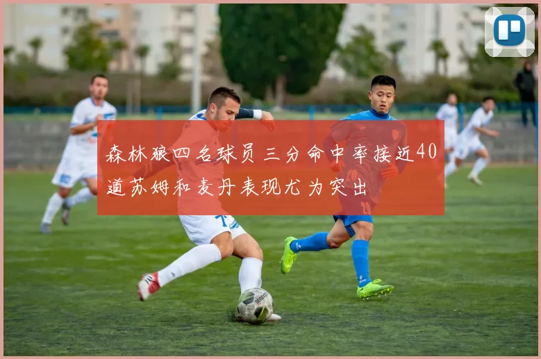 森林狼四名球员三分命中率接近40道苏姆和麦丹表现尤为突出